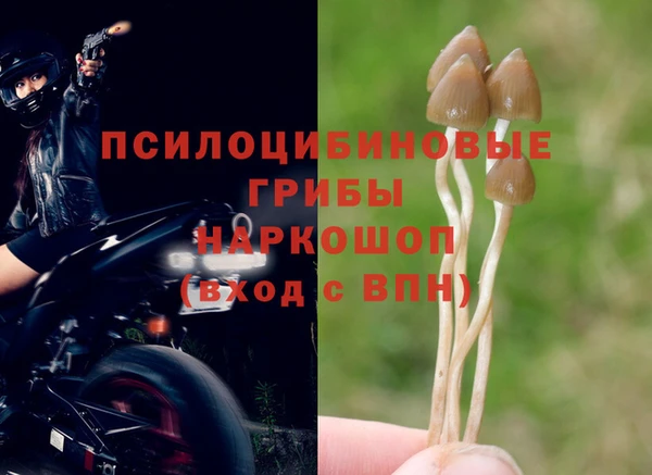 каннабис Богданович