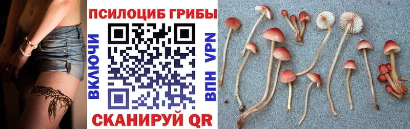 Псилоцибиновые грибы Magic Shrooms Волжск